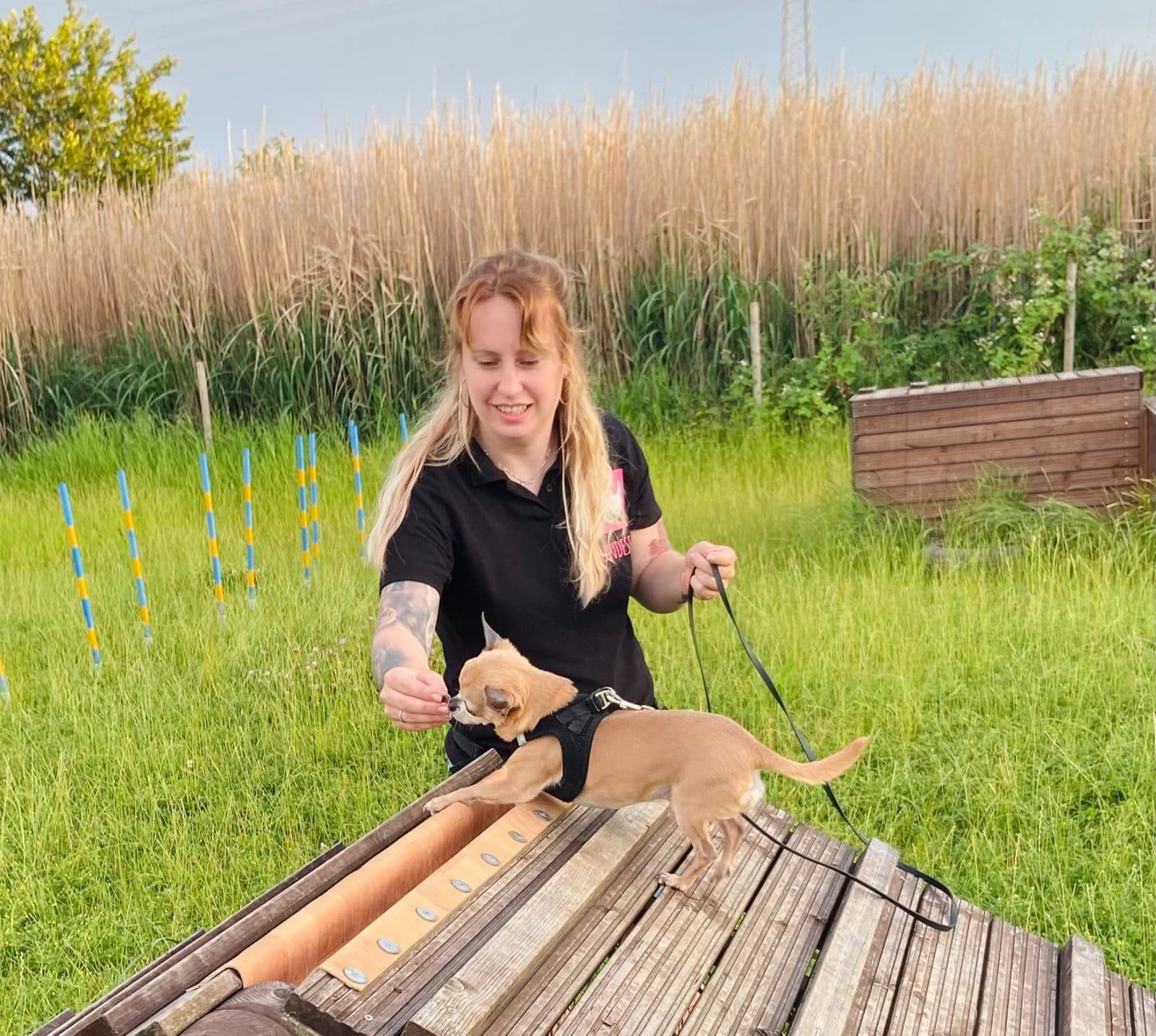 Franziska Schömer Hundetrainerin